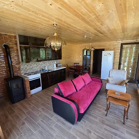 Dedovina Ilic Holiday park